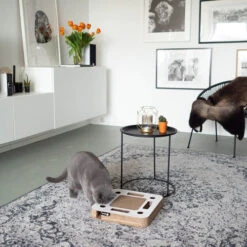 District 70 Spy -Medpets Geschaft district 70 spy 133861 0500 none