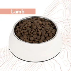 Antelope Fresh Adult Hundefutter -Medpets Geschaft dnlmZiK5CGm1AT44rBAIQzpXogTZ11 metaYW50ZWxvcGVfZnJlc2hfYWR1bHRfaG9uZGVudm9lcl9sYW1iLmpwZw