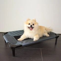 Duvo+ Hundeliege Relax -Medpets Geschaft duvo hondenstretcher relax 199796 1000 none