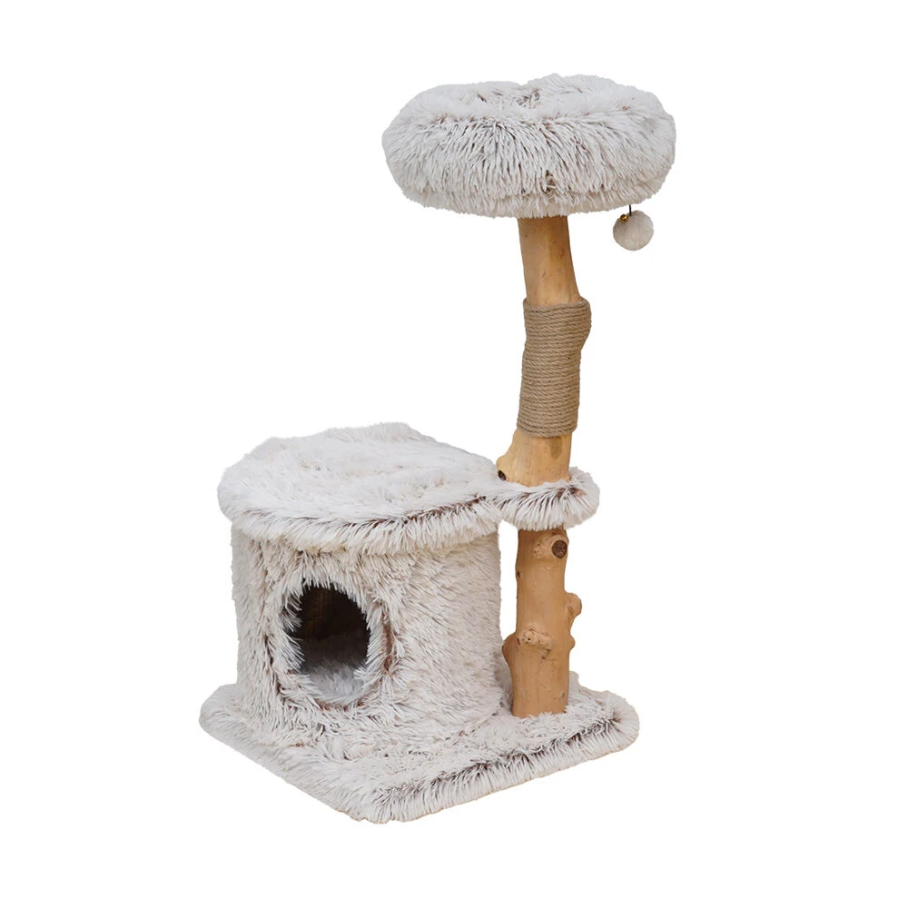 Ebi Kratzbaum Manila 2 Ebi Kratzbaum Manila – Bild 2