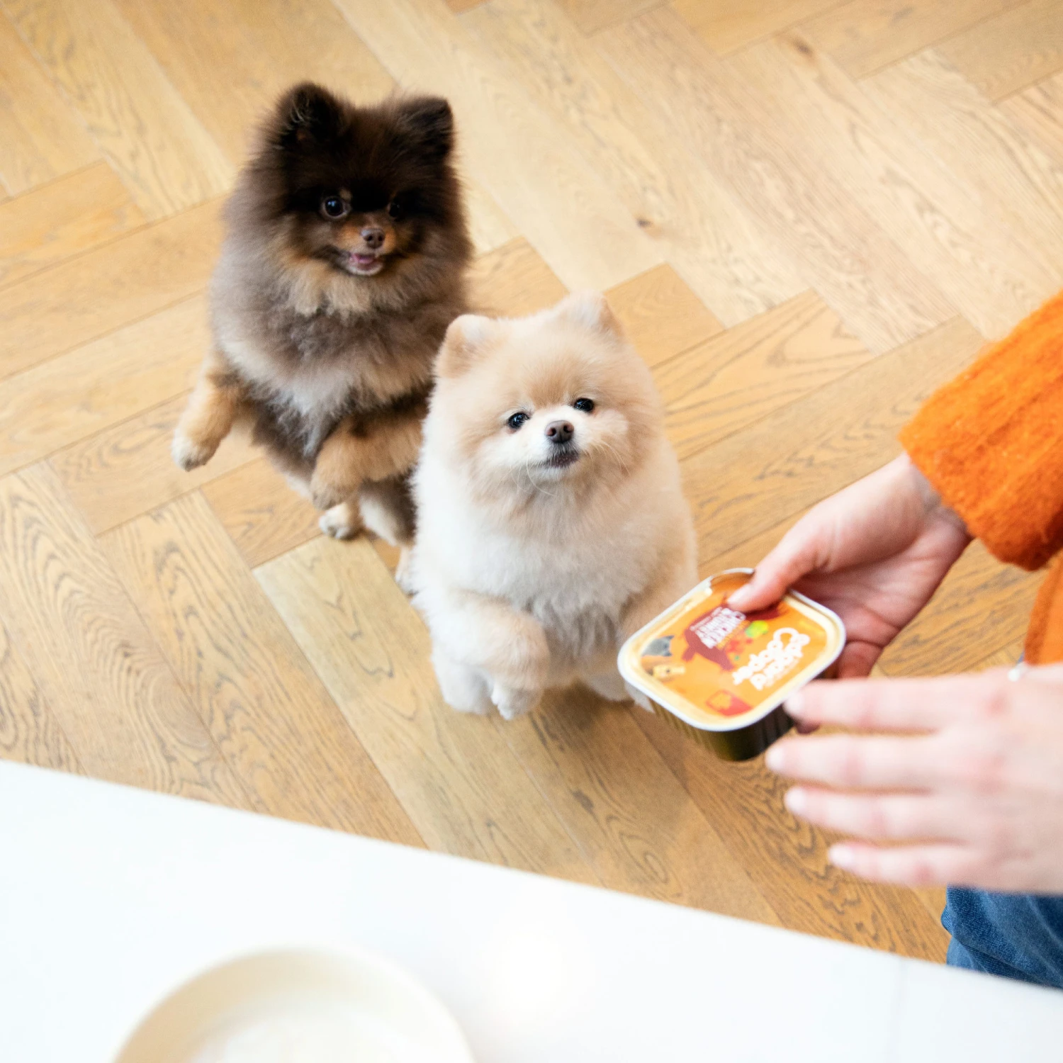 Edgard & Cooper Adult Hundefutter - Schälchen - Huhn & Truthahn 2 Edgard & Cooper Adult Hundefutter - Schälchen - Huhn & Truthahn – Bild 2