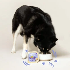 Edgard & Cooper Adult Hundefutter - Schälchen - Rind & Ente -Medpets Geschaft edgard cooper adult rund eend kuipje 168612 2000 none