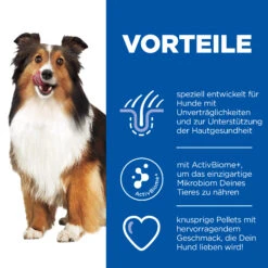 Hill's Hypoallergenic Treats -Medpets Geschaft fiIOW6mfYGKOlhmXTyYjGpyTC8sPMl metaMDUyNzQyMDY5NDI1XzJfREUuSlBH