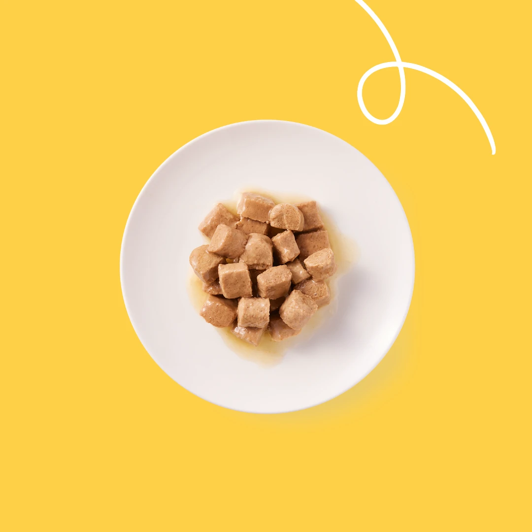 Yarrah Bio Chunks Katzenfutter - Dosen - Huhn Mit Brennnessel Und Tomate 2 Yarrah Bio Chunks Katzenfutter - Dosen - Huhn Mit Brennnessel Und Tomate – Bild 2