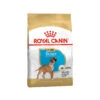Royal Canin Boxer Puppy Hundefutter