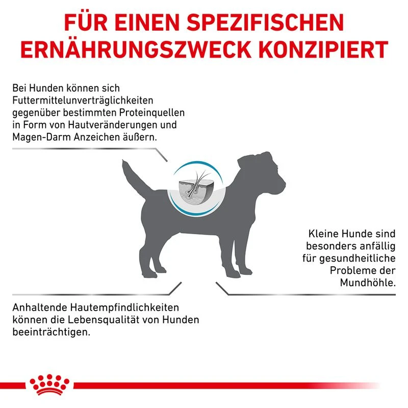 Royal Canin Anallergenic Kleiner Hund 7 Royal Canin Anallergenic Kleiner Hund – Bild 7