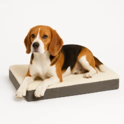 Beeztees Orthopädisches Hundekissen Zira -Medpets Geschaft hAFwlB6YGXEwI5zukDR6r7oaEw6Sc4 metaQmVhZ2xlLU9ydGhvcGVkaXNjaGUgaG9uZGVua3Vzc2VuIFppcmEucG5n