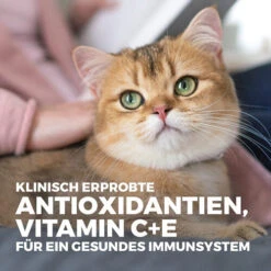 Hill's Science Plan Adult Sensitive Stomach & Skin Katzenfutter -Medpets Geschaft hills science plan feline adult sensitive stomach skin 218752 0500 none