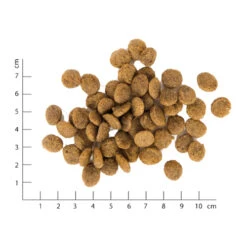 VegDog Green Crunch Hundefutter -Medpets Geschaft hj7YVjvbi9Oy6TMYJyNddrRjTVvXKx metaVmVnZG9nLUdyZWVuLUNydW5jaC02LmpwZw