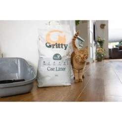 Gritty Klumpenbildende Katzenstreu -Medpets Geschaft hmzUAQGgB7VfBv258qKkAnIwHjQykX metaZ3JpdHR5MS5qcGc