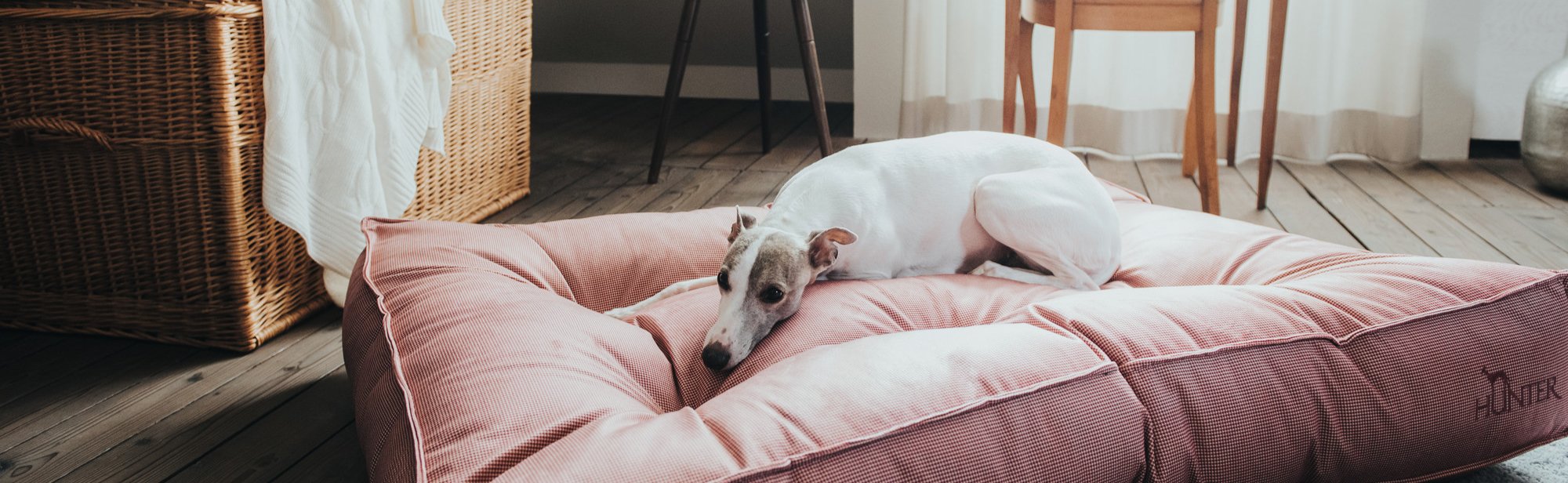 Medpets Geschaft -Medpets Geschaft hundeschlafplaetze 5f4e5be4a4730