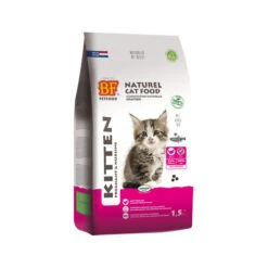 Biofood Kittenfutter -Medpets Geschaft i33eYrlatoxZcXQ57UWQ8a862SwzfL metaYmZwZXRmb29kX2tpdHRlbl8yMTA1MDZfMDUwMF9ub25lLmpwZw
