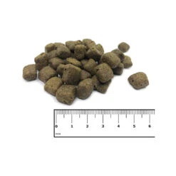 ICEPAW Adult Pure -Medpets Geschaft icepaw adult pure 221026 1000 none