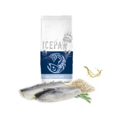 ICEPAW Puppy Junior Pure -Medpets Geschaft icepaw puppy junior pure 221041 1000 none