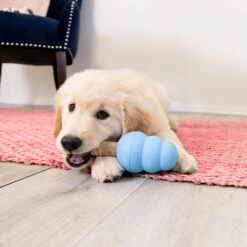 KONG Ziggies Enhanced Puppy -Medpets Geschaft kong ziggies enhanced puppy 227142 1000 none