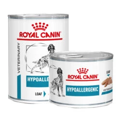 Royal Canin Hypoallergenic Hundefutter - Dosen -Medpets Geschaft nhmKrDJ0aVm1EzQPyayAaW47IFQviD metaRE9HLS0tSFlQT0FMTEVSR0VOSUMtQ0FOLS0tV0VULV8yMDBnXzkwMDM1NzkwMjE5MzRfTkxfMS1vdmVyemljaHQuanBn