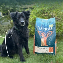 Yarrah Bio Senior Hundefutter - Huhn, Fisch Und Kräutern -Medpets Geschaft nwdUPz1E9AbT1i9f6KojxgA4YR38we metaWWFycmFoLS0tRHJvb2d2b2VyLUhvbmQtU2VuaW9yLUJpbzIuanBn