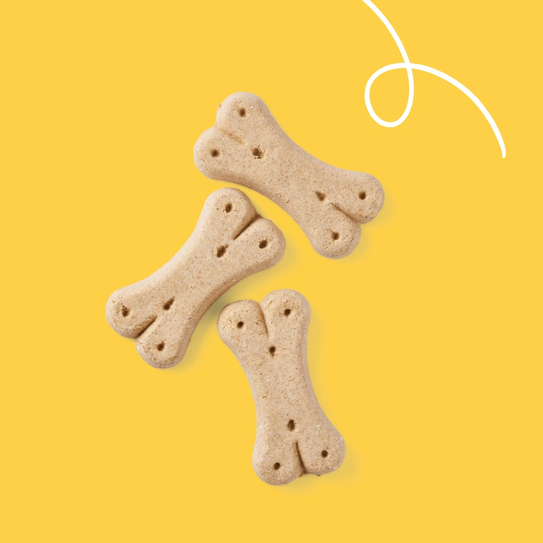 Yarrah Vegetarische Hundekekse Bio 2 Yarrah Vegetarische Hundekekse Bio – Bild 2