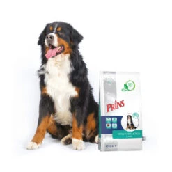 Prins ProCare Croque Weight Reduction & Diabetic -Medpets Geschaft prins procare croque weight reduction diabetic 171490 1500 none