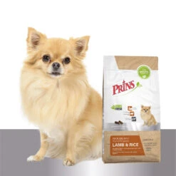 Prins ProCare Mini Lamb & Rice -Medpets Geschaft prins procare mini lamb rice hypoallergenic 171730 1500 none