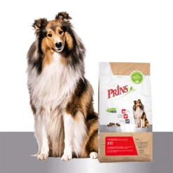 Prins ProCare Standard Fit -Medpets Geschaft prins procare standard fit 171673 1500 none