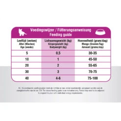 Prins VitalCare Cat Kitten -Medpets Geschaft prins vitalcare cat kitten 172360 1000 none