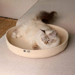 D&D Jess Katzenkorb -Medpets Geschaft prod 17077 225579 1000 none