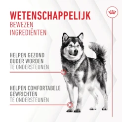 Royal Canin Joint & Ageing Supplements Chews Hund 11 Royal Canin Joint & Ageing Supplements Chews Hund -Medpets Geschaft prod 17652 227123 1500 none
