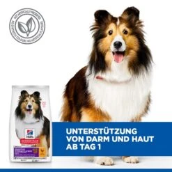 Hill's Science Plan Adult Sensitive Stomach & Skin Medium Hundefutter -Medpets Geschaft q1hwgCPtBiNJW8RpjNE8WaTAOUUq0B metaNTI3NDIwMjUxMzFfMl9ERV81MDAuSlBH