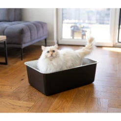 Quapas! Edelstahl-Katzenklo -Medpets Geschaft quapas rvs kattenbak 227500 2000 none