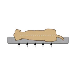 Beeztees Orthopädisches Hundekissen Zira -Medpets Geschaft rT80hvdY5h1U8brY2a0OirJ739Ia6x metaQmVlenRlZXMtTWVtb3J5LUZvYW0tVW1hLUhvbmRlbm1hbmQtb3J0aG9wZWRpc2NoLTIuanBn