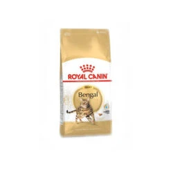 Royal Canin Adult Bengal - Katzenfutter