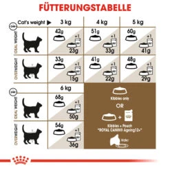 Royal Canin Ageing 12+ Katzenfutter 21 Royal Canin Ageing 12+ Katzenfutter -Medpets Geschaft royal canin ageing 12 kattenvoer 126773 1000 none
