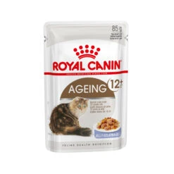 Royal Canin Ageing 12+ In Jelly Katzenfutter - Frischebeutel 13 Royal Canin Ageing 12+ In Jelly Katzenfutter - Frischebeutel -Medpets Geschaft royal canin ageing 12 in jelly 114188 2000 none
