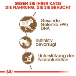 Royal Canin Ageing 12+ In Jelly Katzenfutter - Frischebeutel 15 Royal Canin Ageing 12+ In Jelly Katzenfutter - Frischebeutel -Medpets Geschaft royal canin ageing 12 in jelly kattenvoer 127712 1000 none