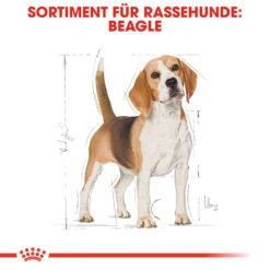 Royal Canin Beagle Adult Hundefutter -Medpets Geschaft royal canin beagle adult hondenvoer 137293 1000 none