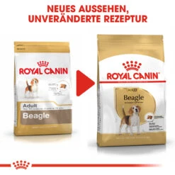 Royal Canin Beagle Adult Hundefutter -Medpets Geschaft royal canin beagle adult hondenvoer 137314 1000 none