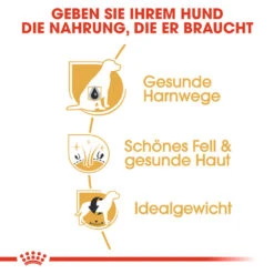 Royal Canin Bichon Frisé Adult Hundefutter -Medpets Geschaft royal canin bichon fris adult hondenvoer 137371 1000 none