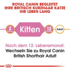 Royal Canin British Shorthair Kitten Katzenfutter -Medpets Geschaft royal canin british shorthair kitten kattenvoer 144293 1000 none