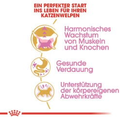 Royal Canin British Shorthair Kitten Katzenfutter -Medpets Geschaft royal canin british shorthair kitten kattenvoer 144296 1000 none