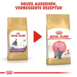 Royal Canin British Shorthair Kitten Katzenfutter -Medpets Geschaft royal canin british shorthair kitten kattenvoer 144308 1000 none