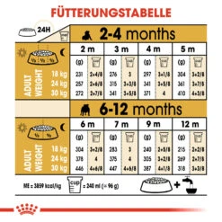 Royal Canin Bulldog Puppy Hundefutter -Medpets Geschaft royal canin bulldog puppy hondenvoer 137776 1000 none