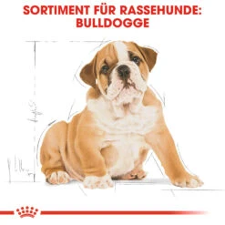 Royal Canin Bulldog Puppy Hundefutter -Medpets Geschaft royal canin bulldog puppy hondenvoer 137812 1000 none