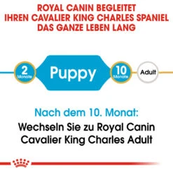 Royal Canin Cavalier King Charles Puppy Hundefutter -Medpets Geschaft royal canin cavalier king charles puppy hondenvoer 137905 1000 none