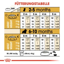 Royal Canin Cavalier King Charles Puppy Hundefutter -Medpets Geschaft royal canin cavalier king charles puppy hondenvoer 137941 1000 none