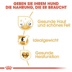 Royal Canin Cocker Adult Hundefutter 8 Royal Canin Cocker Adult Hundefutter -Medpets Geschaft royal canin cocker adult hondenvoer 138163 1000 none