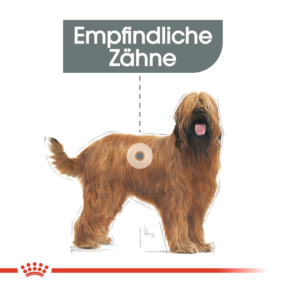Royal Canin Maxi Dental Care Hundefutter 3 Royal Canin Maxi Dental Care Hundefutter – Bild 3