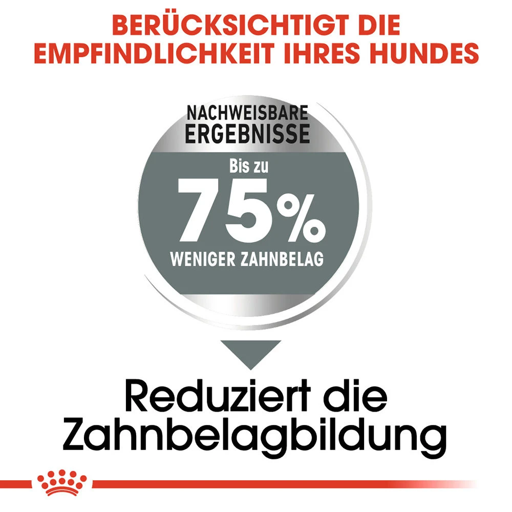 Royal Canin Maxi Dental Care Hundefutter 5 Royal Canin Maxi Dental Care Hundefutter – Bild 5