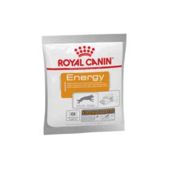 Royal Canin Energy 9 Royal Canin Energy -Medpets Geschaft royal canin energy hond 156569 0500 none