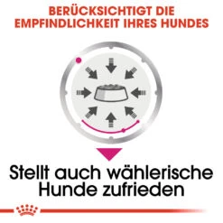 Royal Canin Exigent Hundefutter - Frischebeutel -Medpets Geschaft royal canin exigent wet hondenvoer 131882 1000 none